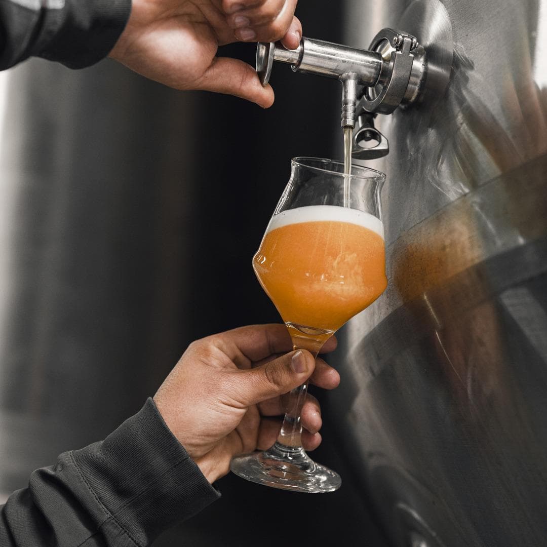 Copa frente al fermentador