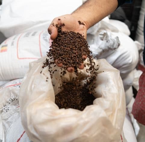 Proceso artesanal con malta